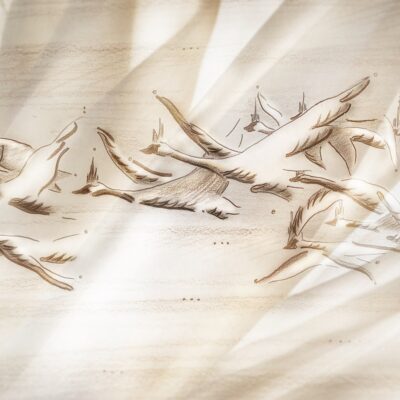 suur-volbrikontsert-metsluiged